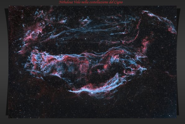 Cygni