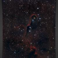 IC1396