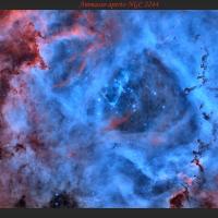 NGC 2237 Hubble Palette