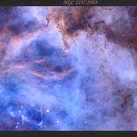 NGC2237-SHO