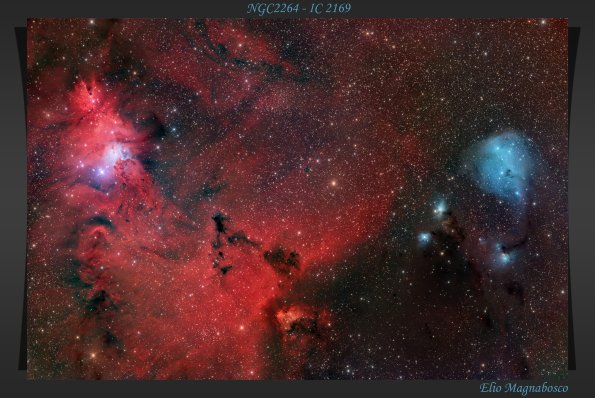 NGC 2264 - IC 2169