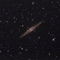 NGC 891