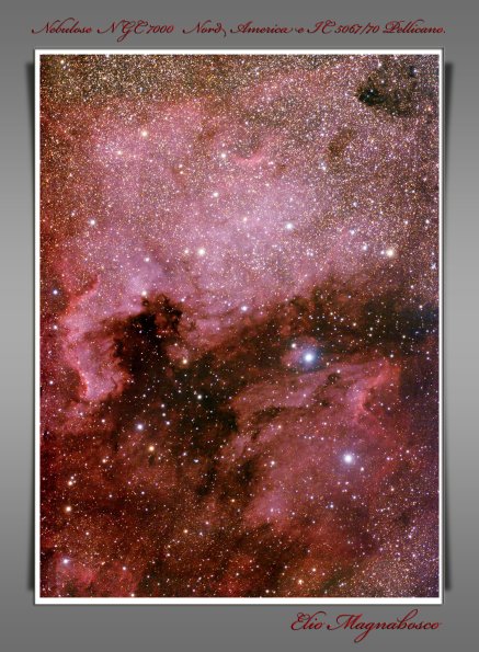 NGC7000 IC5067/70 Nebulosa a emissione.